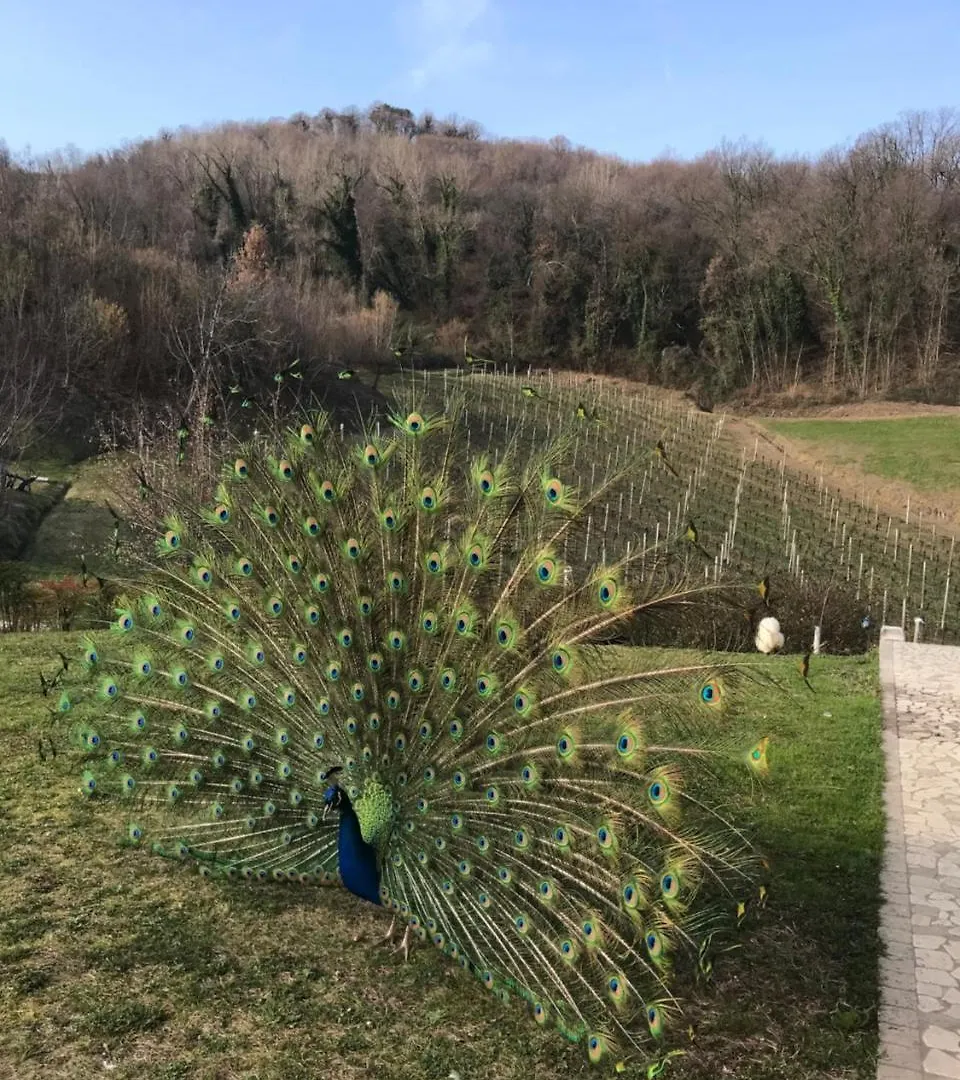 Bed & Breakfast Agriturismo Lemire San Pietro Di Feletto Italy
