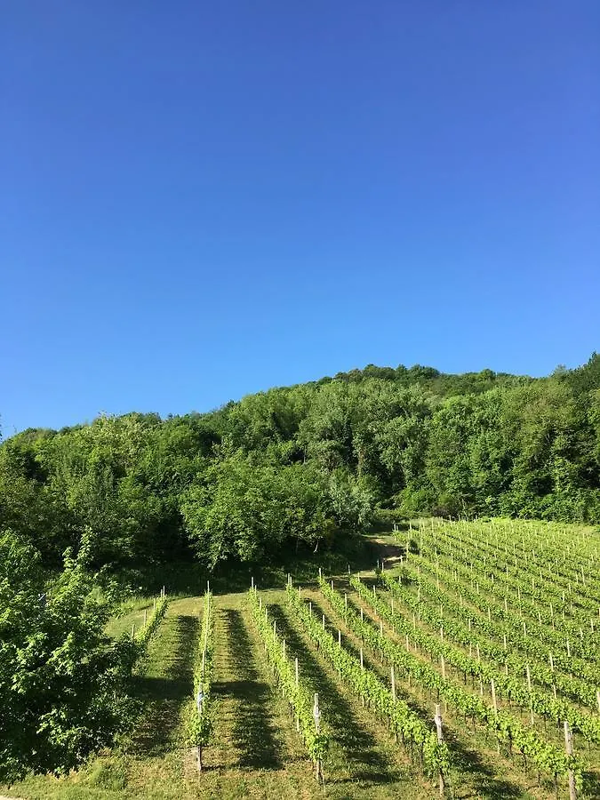 Agriturismo Lemire San Pietro Di Feletto 0*,